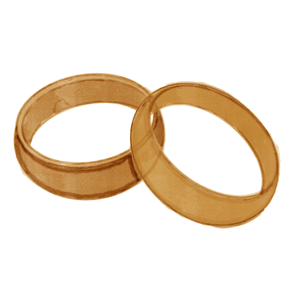Wedding rings illustration